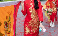 欧美精品黄页在线观看视频